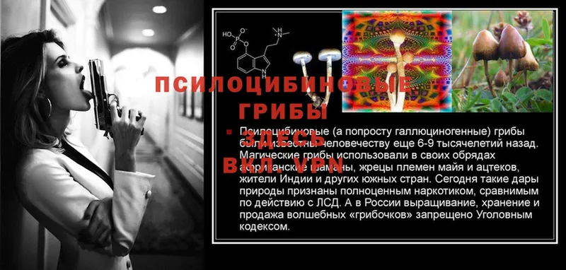 Галлюциногенные грибы MAGIC MUSHROOMS Болгар