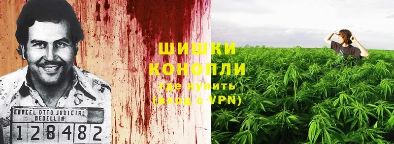 Бошки Шишки OG Kush  наркота  Болгар 